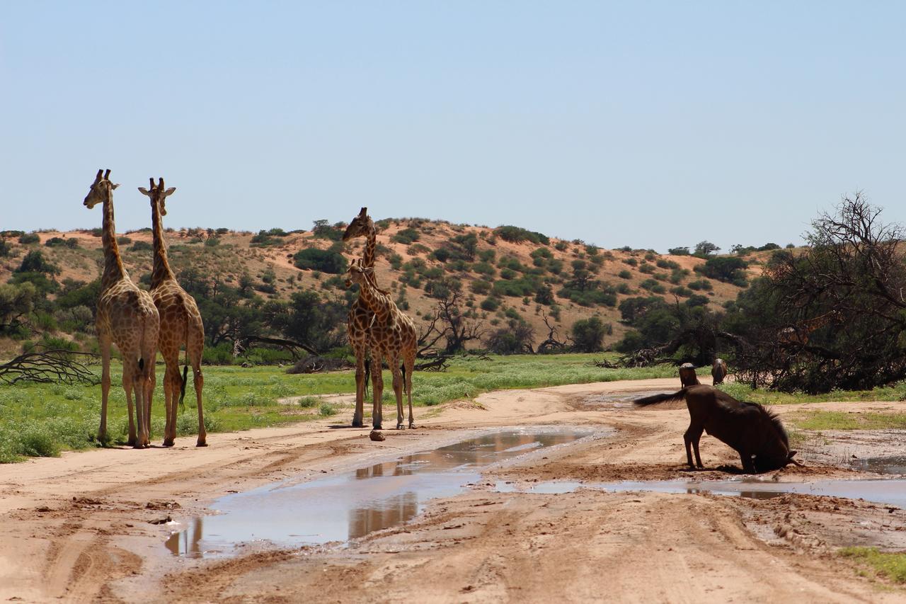 Kgalagadi Lodge Askham Екстер'єр фото